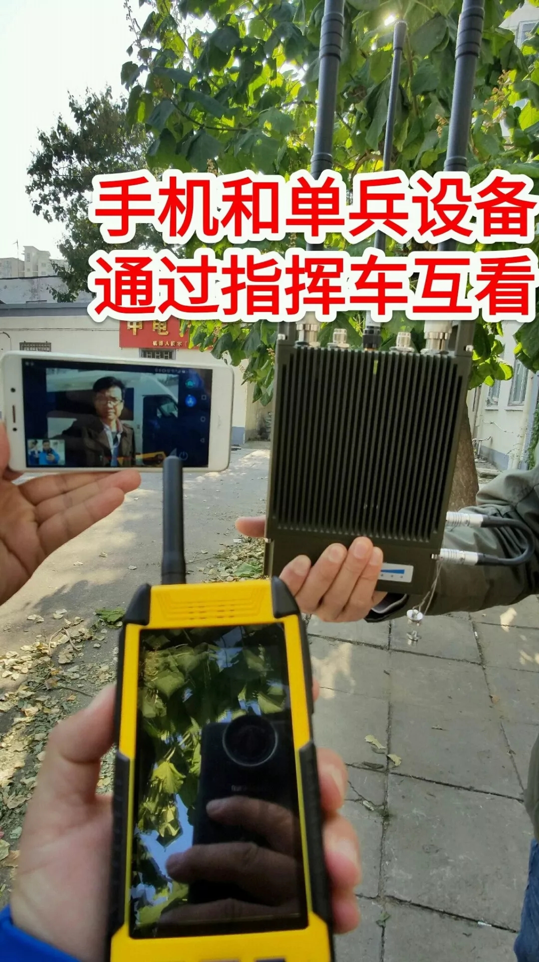 7.webp.jpg